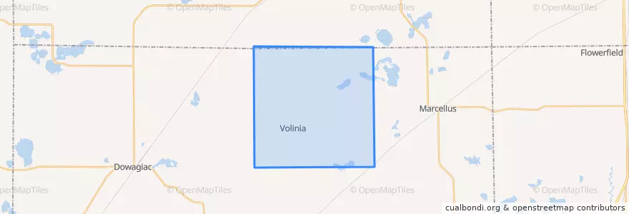 Mapa de ubicacion de Volinia Township.