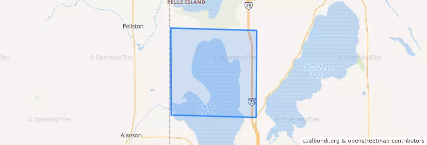 Mapa de ubicacion de Burt Township.