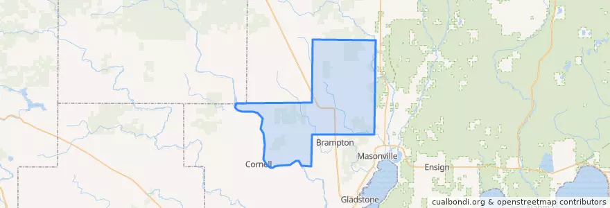 Mapa de ubicacion de Baldwin Township.