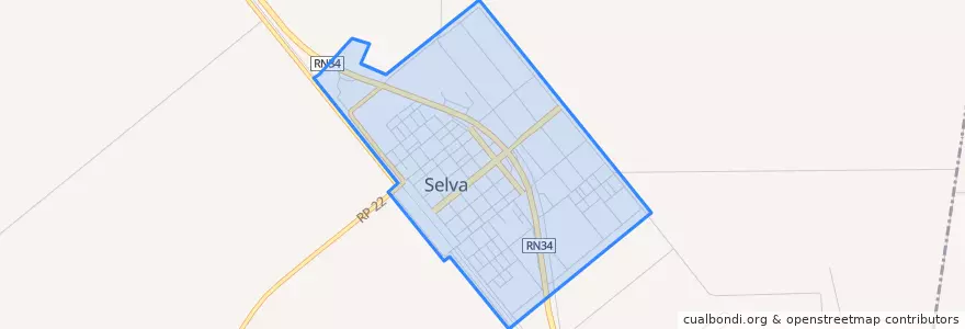 Mapa de ubicacion de Selva.