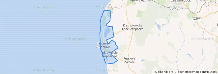 Mapa de ubicacion de Янтарный городской округ.