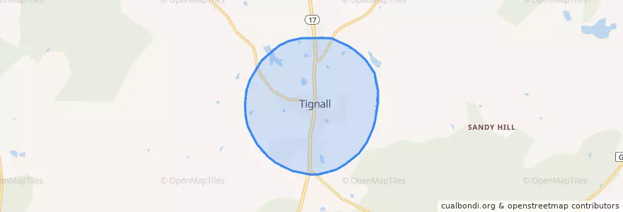 Mapa de ubicacion de Tignall.