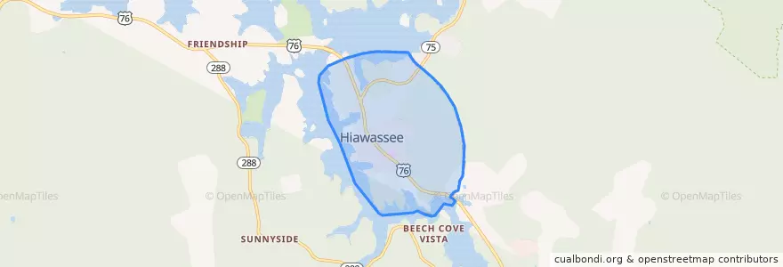 Mapa de ubicacion de Hiawassee.