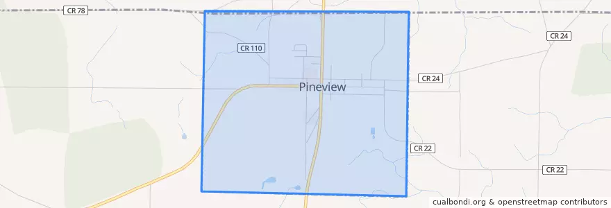 Mapa de ubicacion de Pineview.