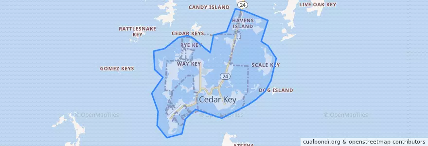 Mapa de ubicacion de Cedar Key.