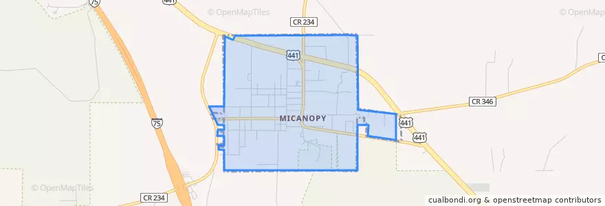 Mapa de ubicacion de Micanopy.
