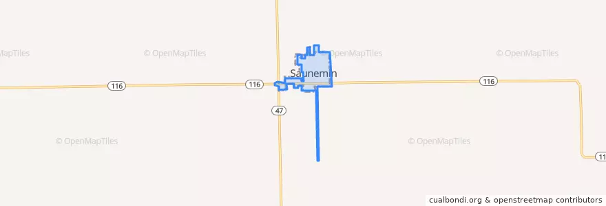 Mapa de ubicacion de Saunemin.