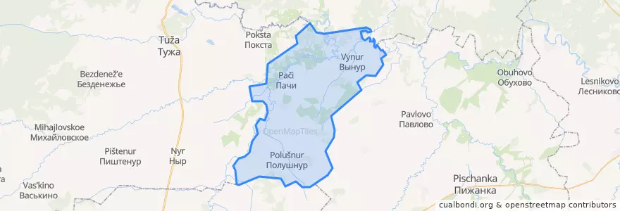 Mapa de ubicacion de Пачинское сельское поселение.