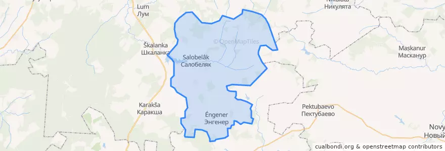 Mapa de ubicacion de Салобелякское сельское поселение.