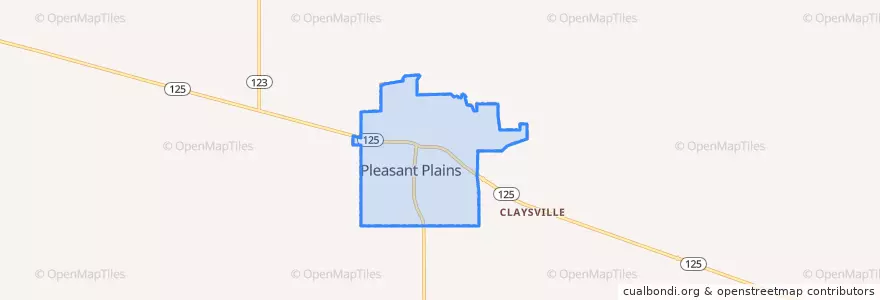 Mapa de ubicacion de Pleasant Plains.