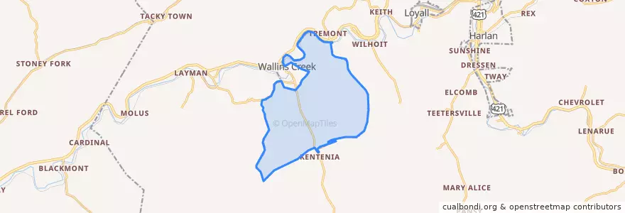 Mapa de ubicacion de South Wallins.