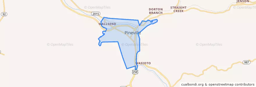 Mapa de ubicacion de Pineville.