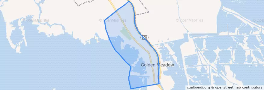 Mapa de ubicacion de Golden Meadow.