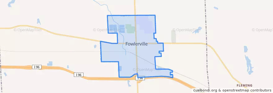 Mapa de ubicacion de Fowlerville.