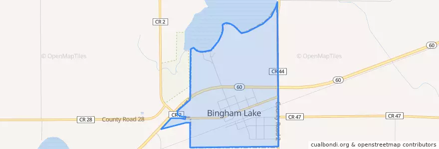 Mapa de ubicacion de Bingham Lake.