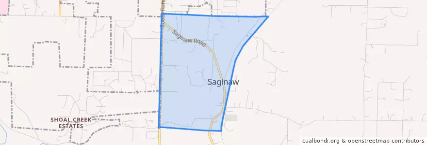 Mapa de ubicacion de Saginaw.
