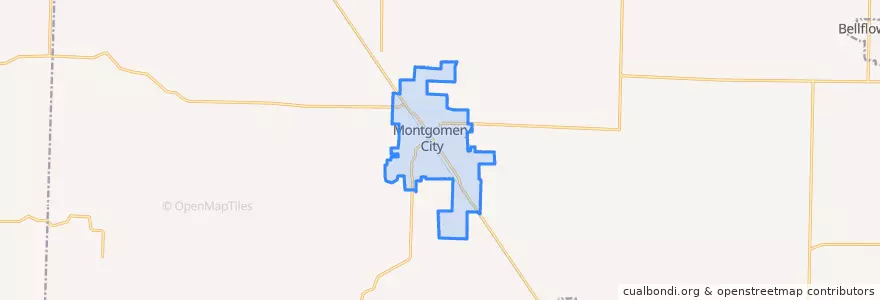 Mapa de ubicacion de Montgomery City.