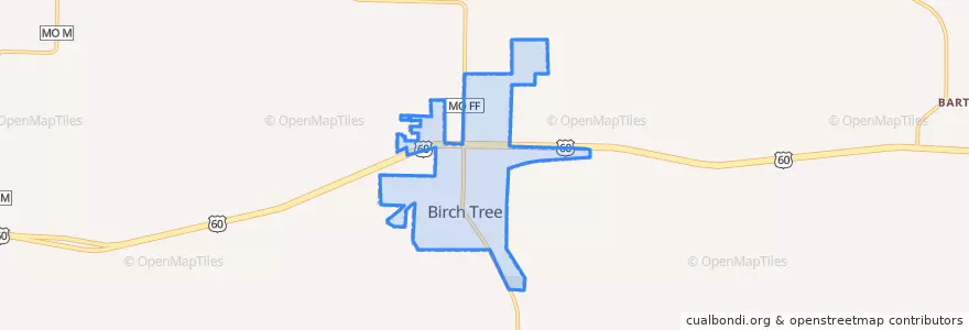 Mapa de ubicacion de Birch Tree.
