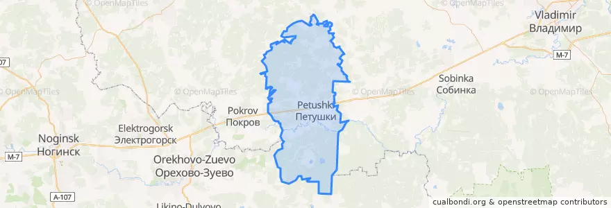 Mapa de ubicacion de Петушинское сельское поселение.