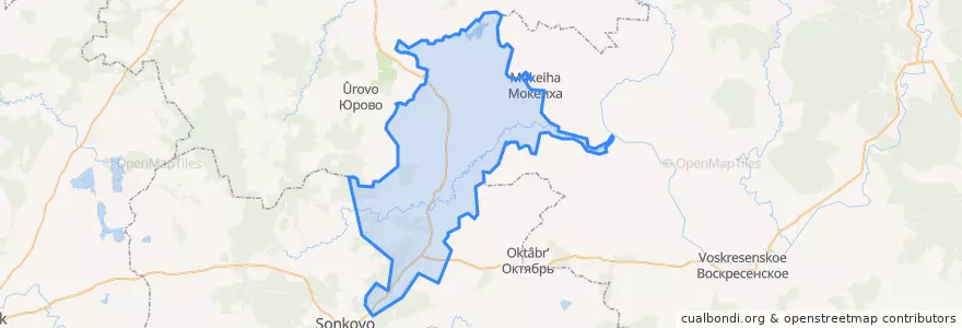 Mapa de ubicacion de Петровское сельское поселение.