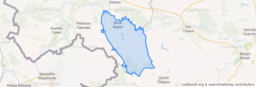 Mapa de ubicacion de Борковский сельсовет.