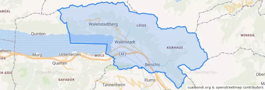 Mapa de ubicacion de Walenstadt.