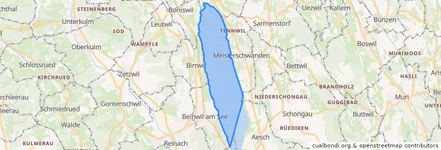 Mapa de ubicacion de Hallwilersee (AG).