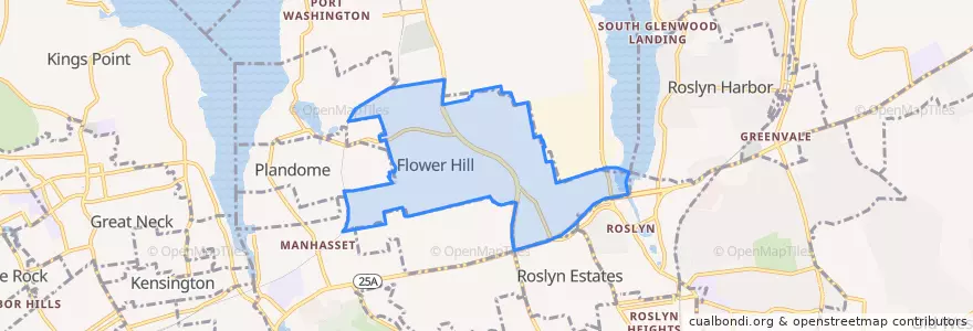 Mapa de ubicacion de Flower Hill.