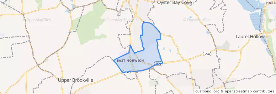Mapa de ubicacion de East Norwich.