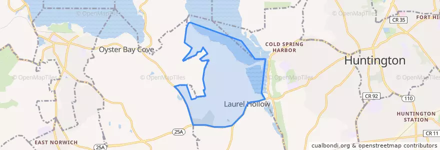 Mapa de ubicacion de Laurel Hollow.