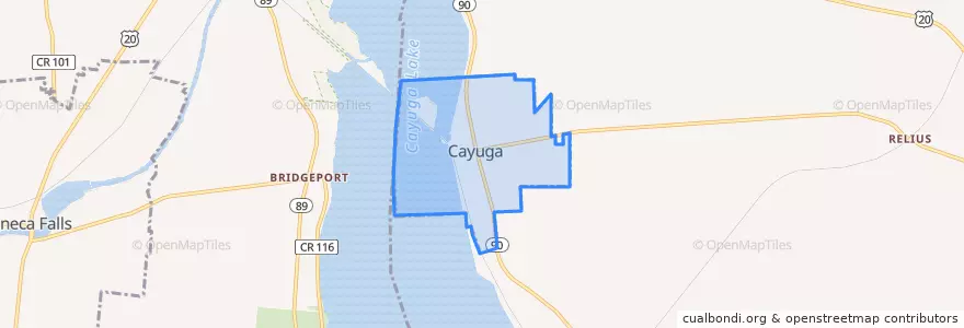 Mapa de ubicacion de Cayuga.