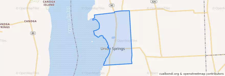 Mapa de ubicacion de Union Springs.