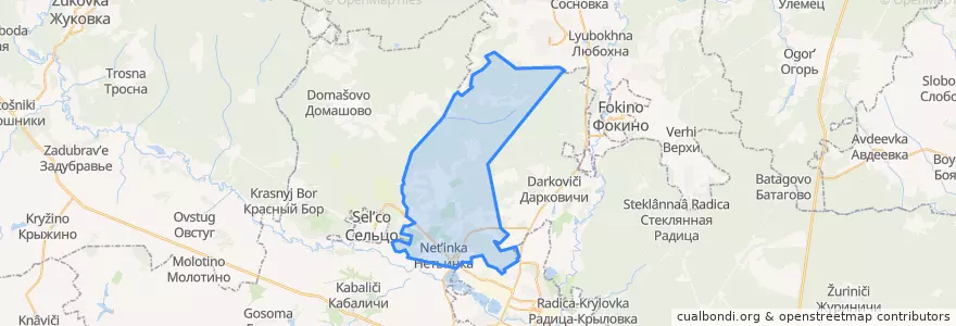 Mapa de ubicacion de Нетьинское сельское поселение.