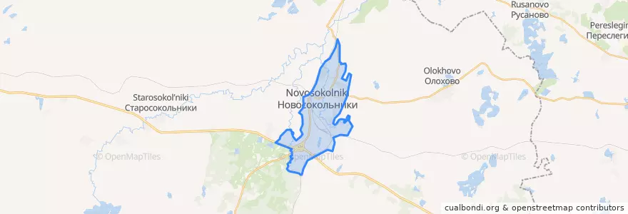 Mapa de ubicacion de городское поселение Новосокольники.