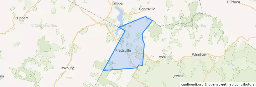 Mapa de ubicacion de Town of Prattsville.