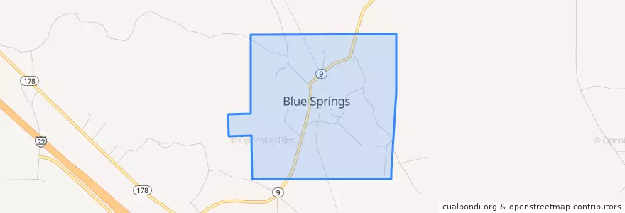 Mapa de ubicacion de Blue Springs.