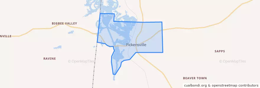 Mapa de ubicacion de Pickensville.