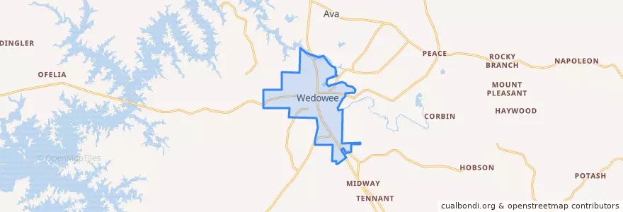 Mapa de ubicacion de Wedowee.