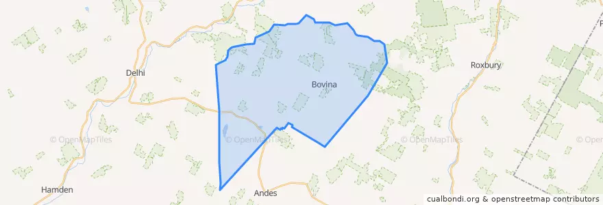 Mapa de ubicacion de Town of Bovina.