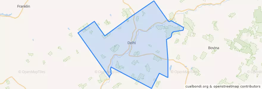 Mapa de ubicacion de Town of Delhi.