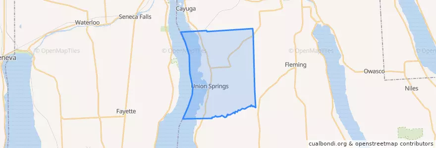 Mapa de ubicacion de Town of Springport.