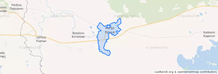 Mapa de ubicacion de городское поселение Кунья.