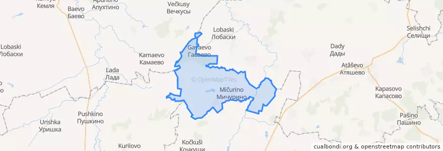 Mapa de ubicacion de Мичуринское сельское поселение.