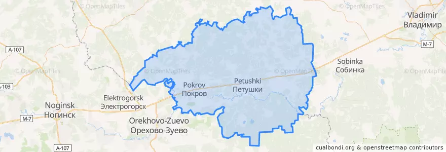 Mapa de ubicacion de Petushinsky District.