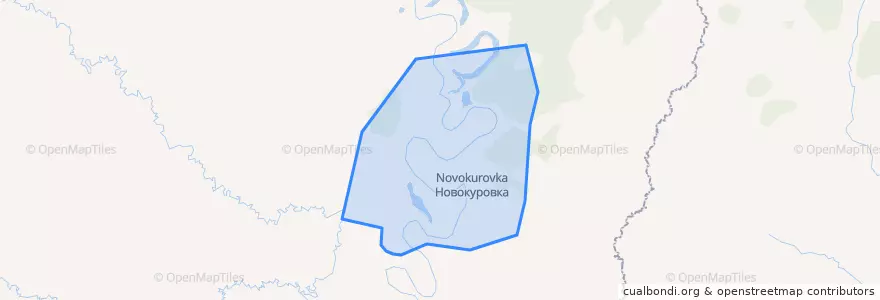 Mapa de ubicacion de сельское поселение Село Новокуровка.