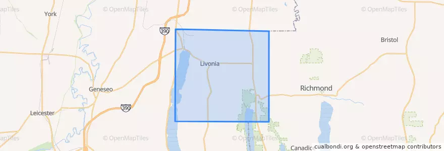 Mapa de ubicacion de Livonia Town.