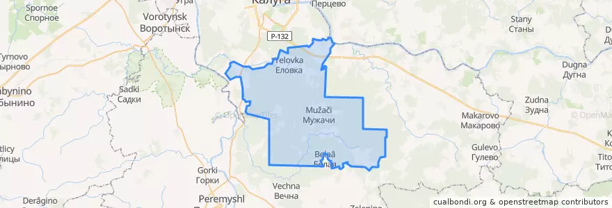 Mapa de ubicacion de сельское поселение Деревня Большие Козлы.