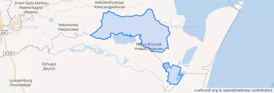 Mapa de ubicacion de сельское поселение Село Новый Бирюзяк.