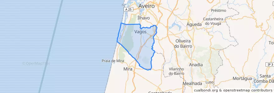 Mapa de ubicacion de Vagos.