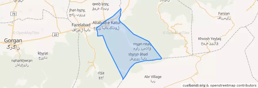 Mapa de ubicacion de زرین گل.